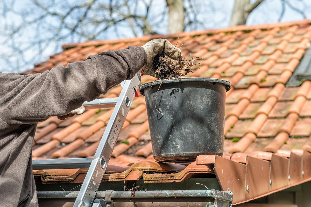 Regularly clearing leaves, twigs, and debris from the roof, gutters, and areas surrounding the property reduces the potential for fueling wildfires. (Zerbor/Shutterstock)