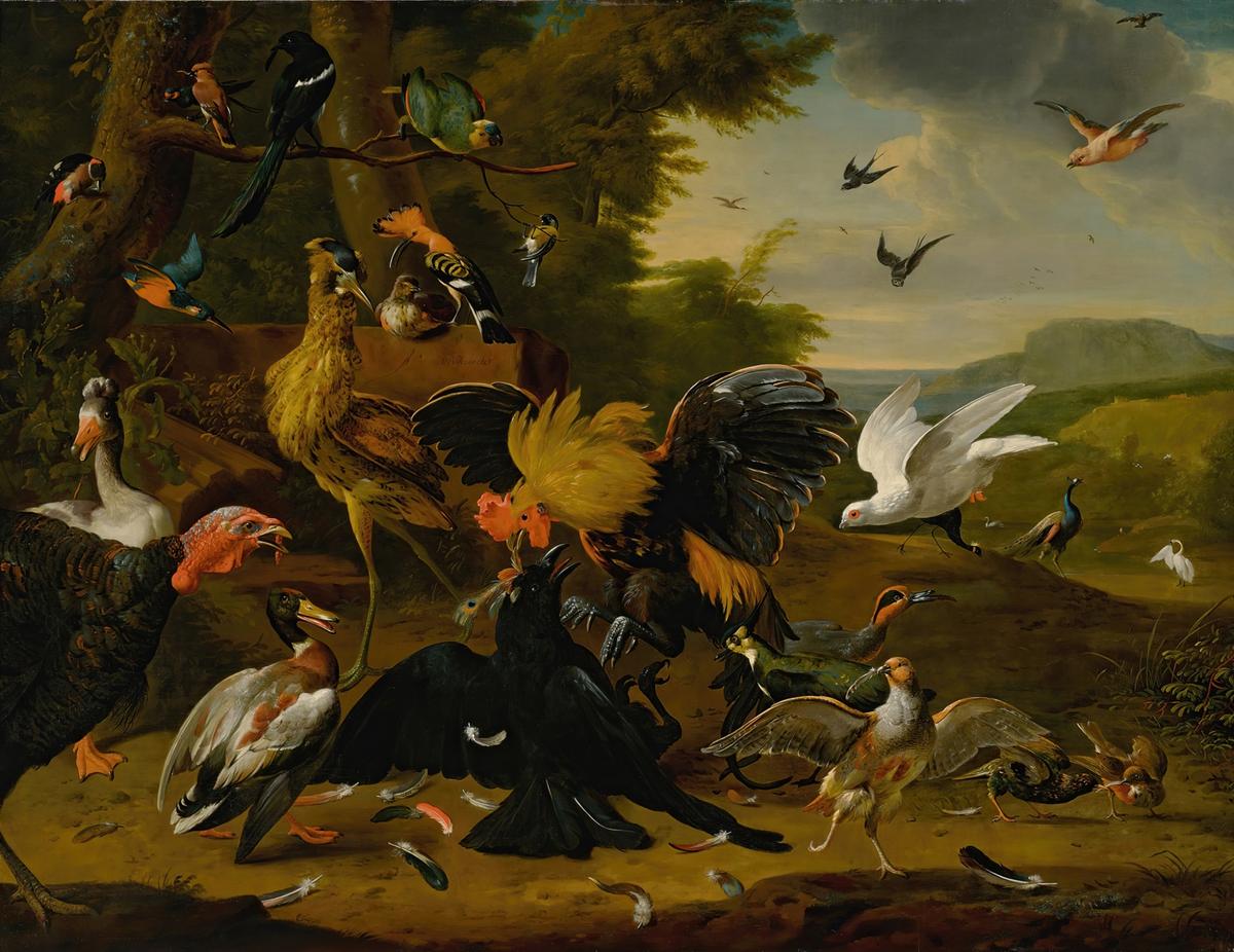 A 17th-century illustration from the workshop of Melchior de Hondecoeter, showing the moment the birds reclaim their lost feathers. (Public domain)