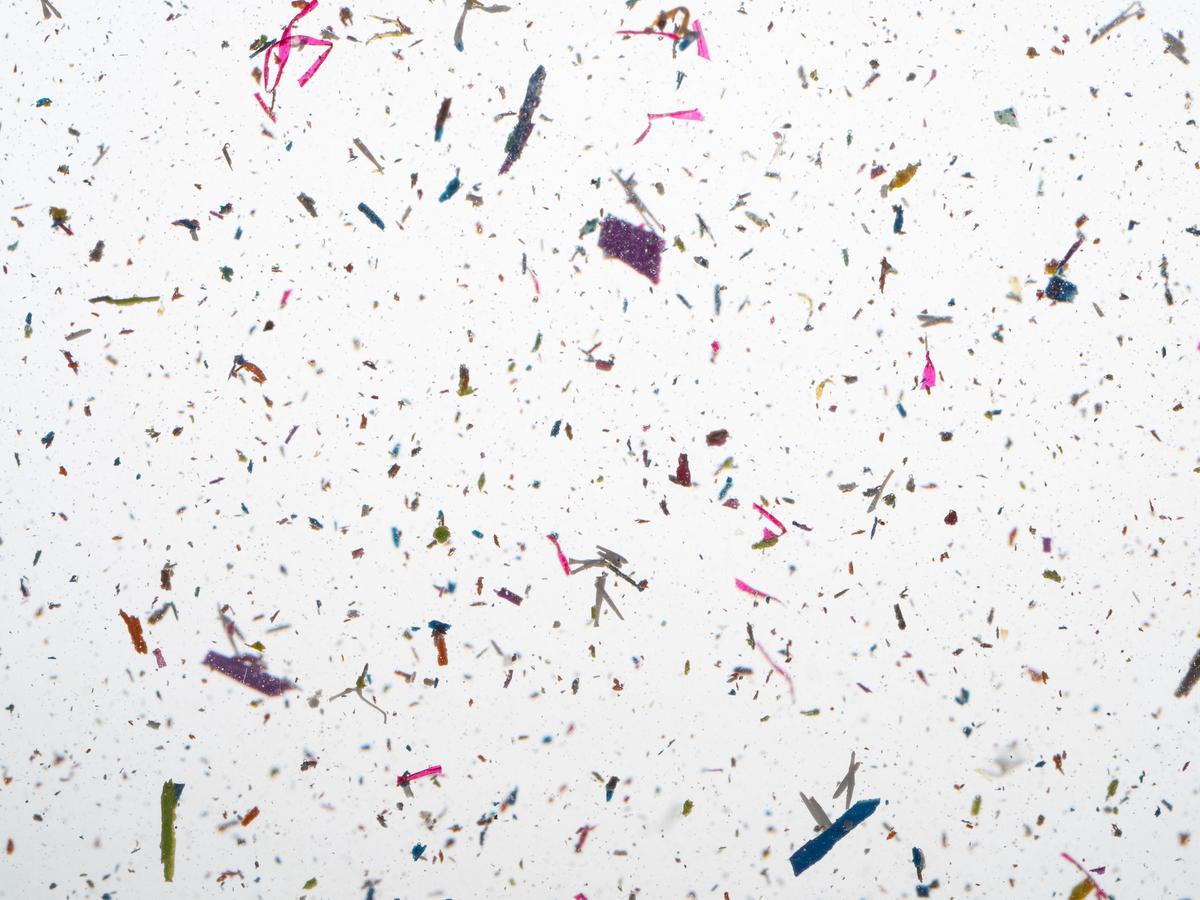 Common Household Sources of Microplastics Plus Easy Swaps