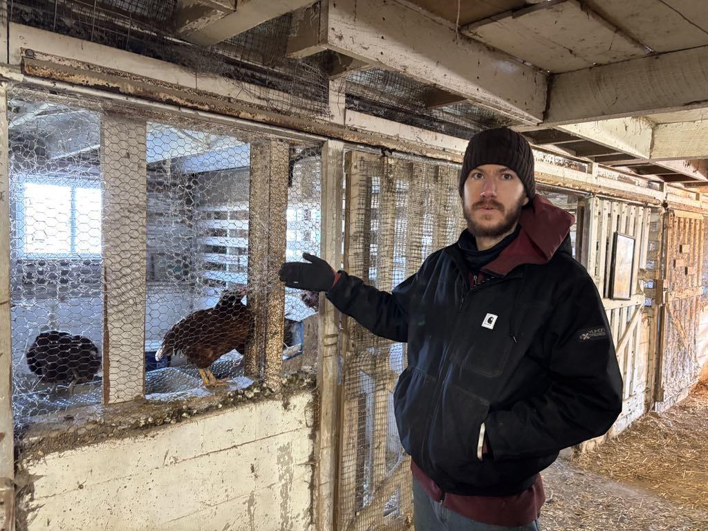 Kyle Anderson points to the chickens the farm has added to diversify their offerings, at Advent Christmas Tree Farm in Englewood, Ohio, on Dec. 8, 2025.<strong> </strong>(Jeff Louderback/The Epoch Times)