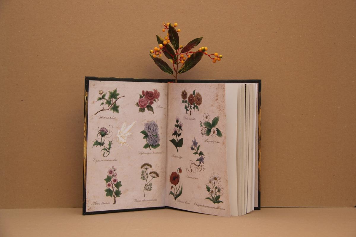 8 Gardening Books