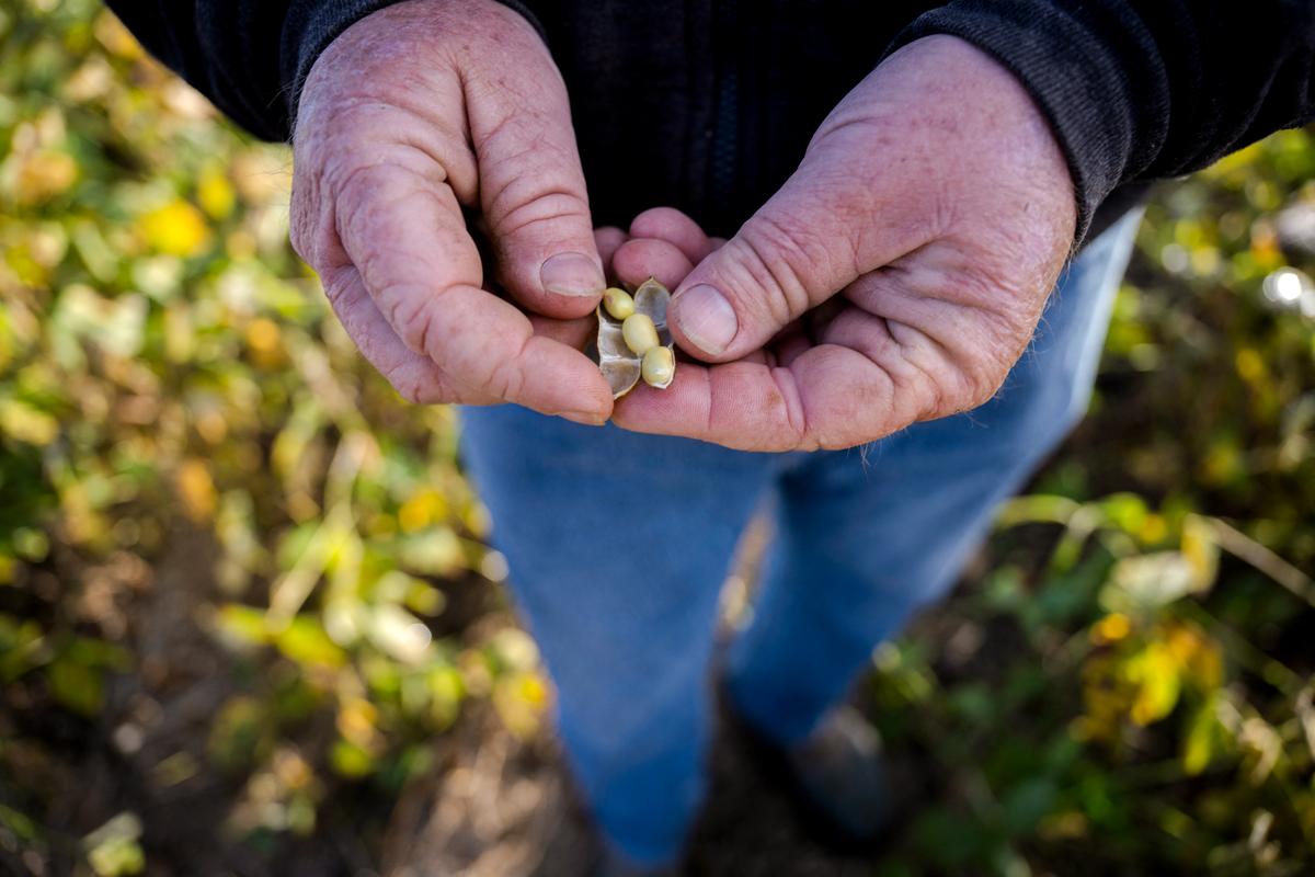 UN Warns Hormuz Disruption Could Trigger Food Crisis as Fertilizer Supply Stalls