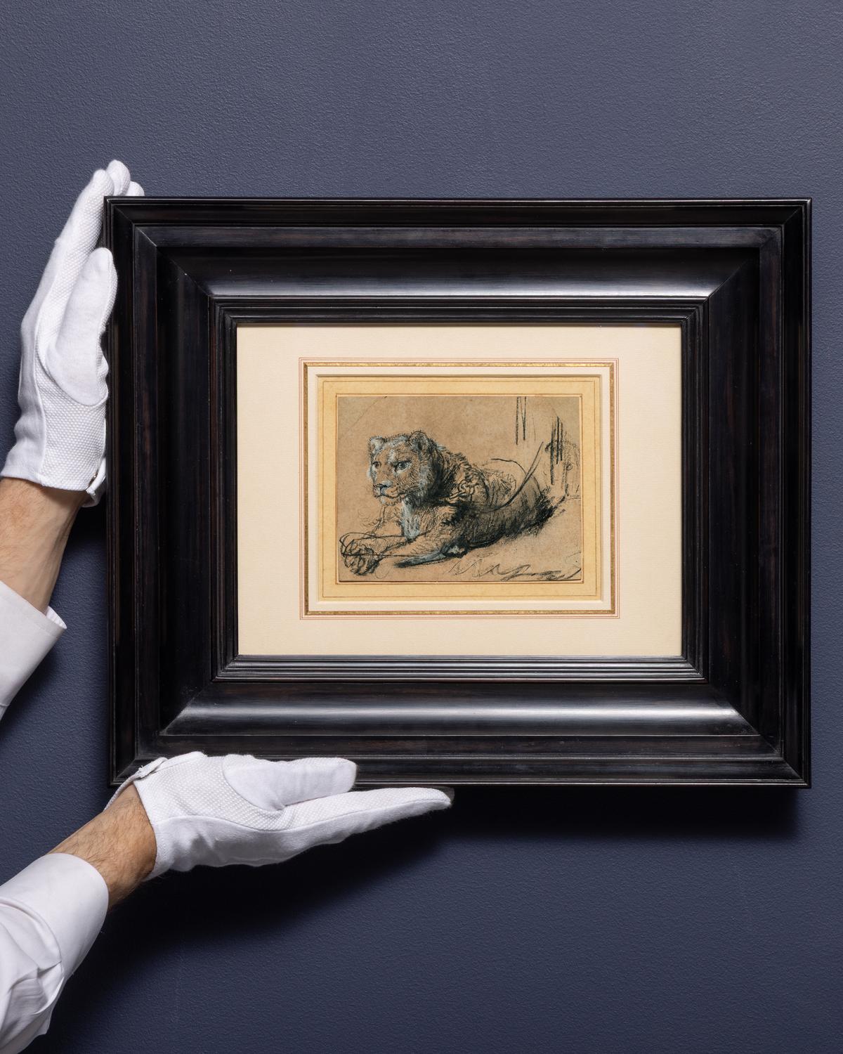 Framed “Young Lion Resting,” circa 1638–1642, by Rembrandt van Rijn. (Sotheby's)