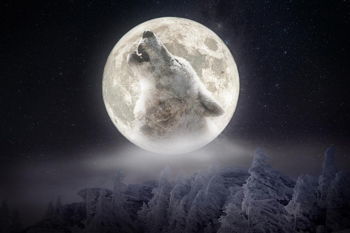 The ‘Wolf Moon,’ the First Supermoon of 2026, Will Form a Conjunction With Jupiter—What to Know