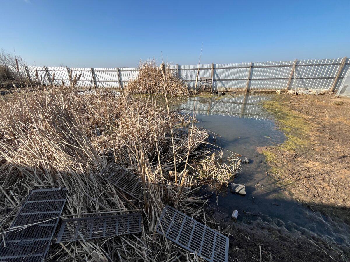 A vernal pool polluted with chemicals used for growing illegal marijuana border an agricultural form in Ponca City, Okla., on Dec. 22, 2025. (Allan Stein/The Epoch Times)