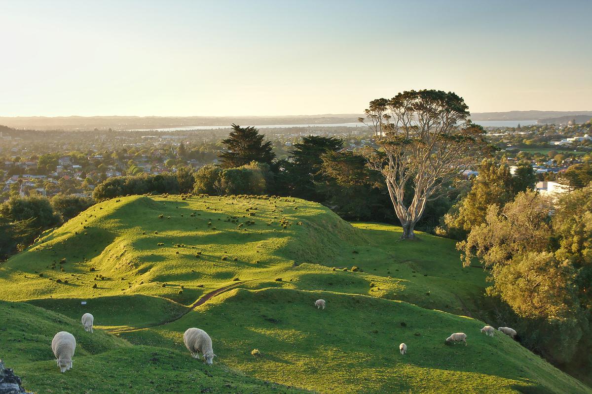 One Tree Hill, a large volcanic park in central Auckland, was once a significant Maori settlement. (Jaromir Vanek/Shutterstock)