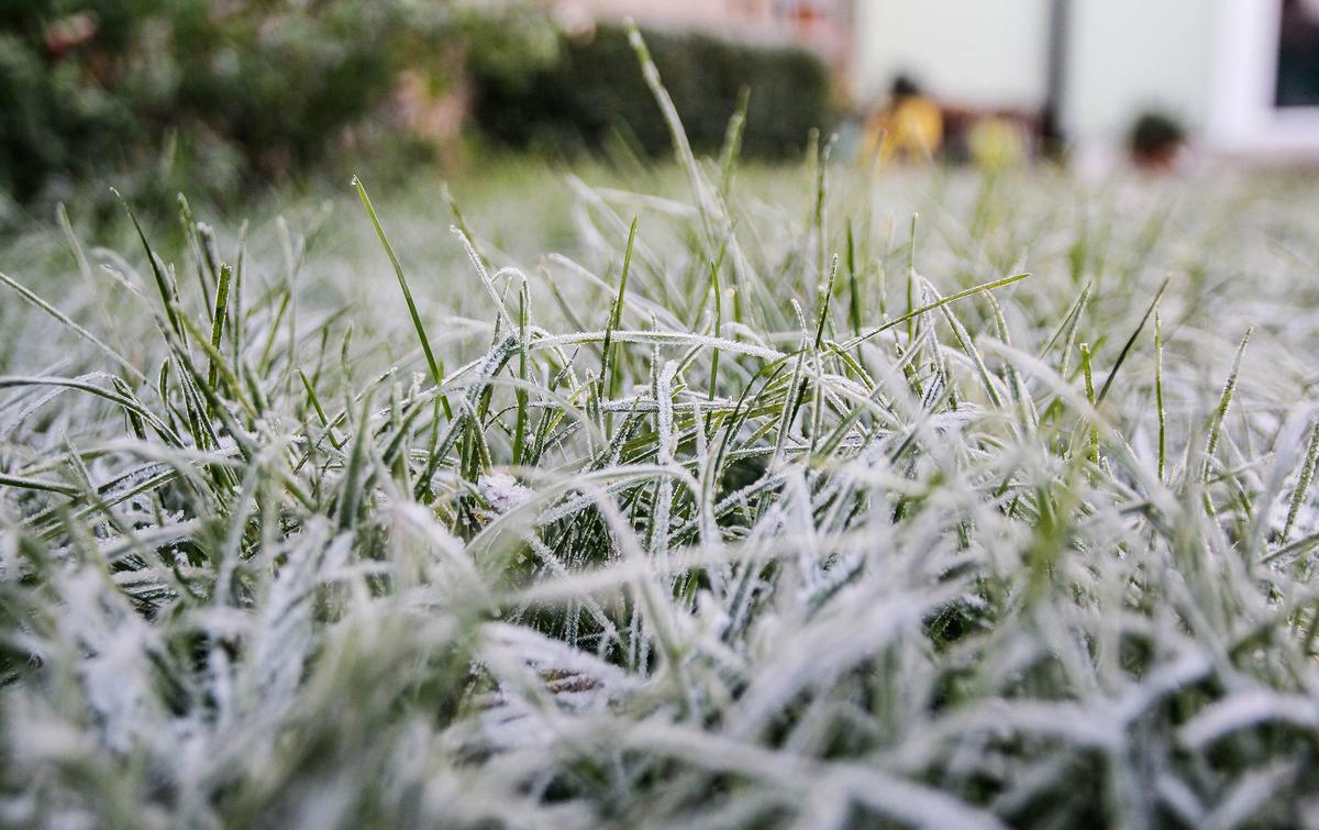 Walking on snow-covered lawns can compact grass and worsen winter damage, especially when snow turns to ice. (Kinga Krzeminska/Getty Images)