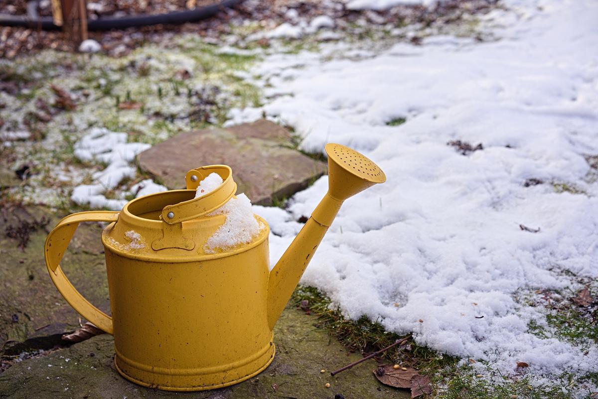 It may seem counterintuitive, but grass still needs water in the winter. (Artur Henryk Bialosiewicz/Getty Images)