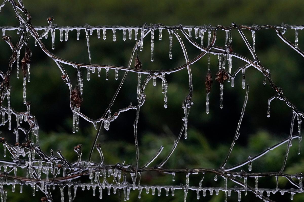 Blast of Winter Weather Hits Midwest and East Coast and Could Bring Snow to Florida