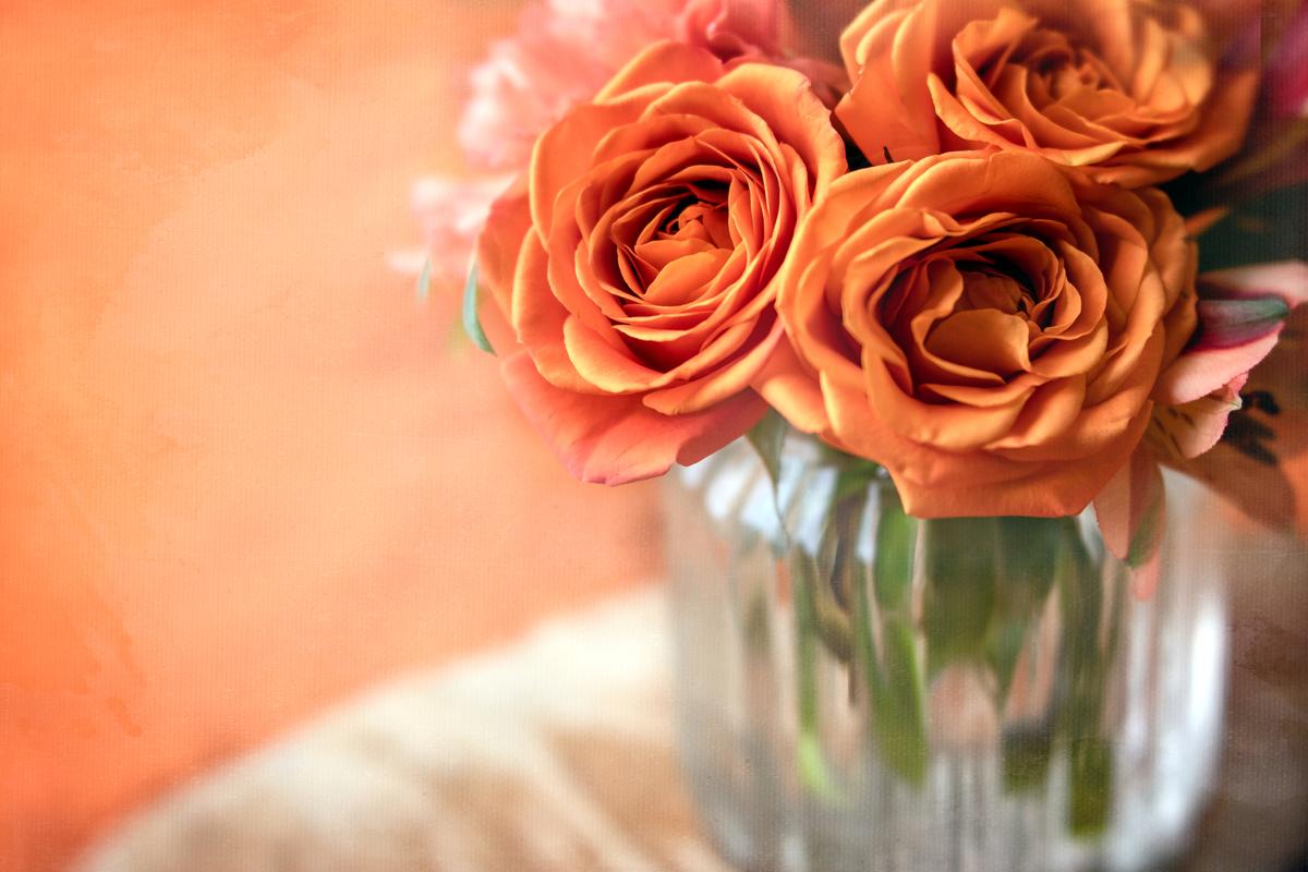 Roses Are Magic