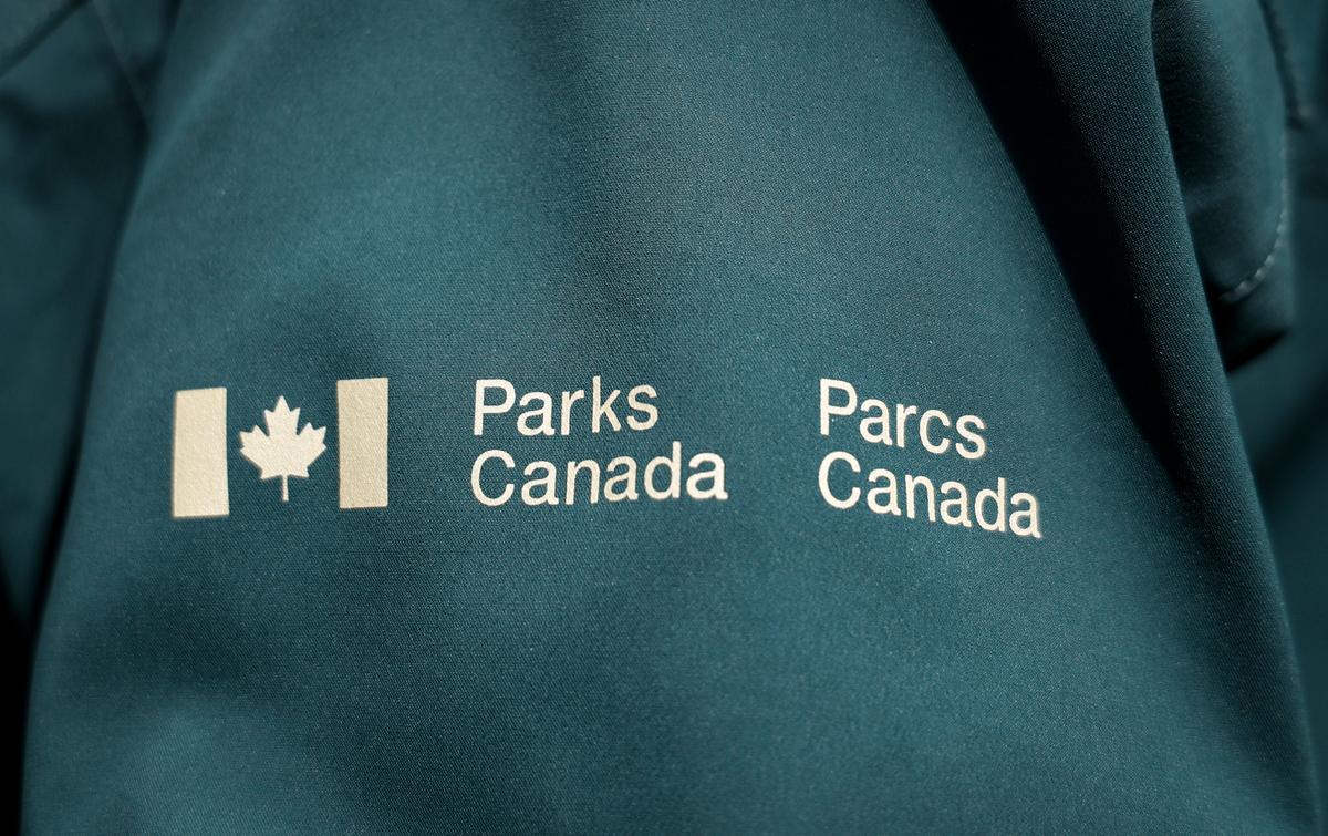 Skier ‘Uninjured’ After Being Caught Up in Avalanche in Banff National Park: Parks Canada
