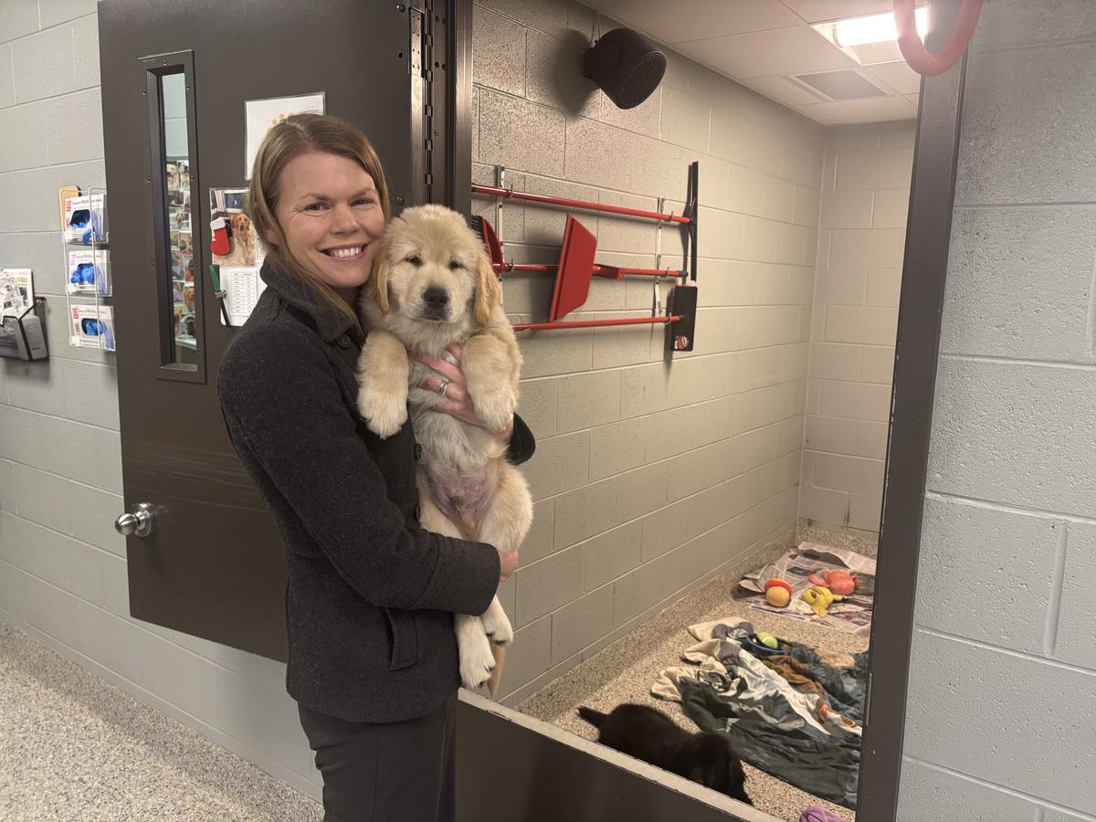 Jennifer Lutes, 4 Paws for Ability executive director, holds a service dog in training at the organization's facility in Xenia, Ohio, on Dec. 5, 2025. (Jeff Louderback/The Epoch Times)