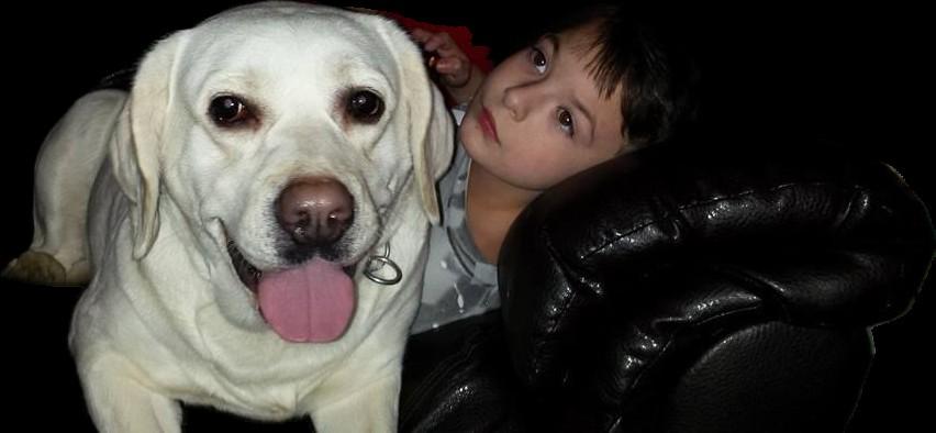When Brandon was a young boy, the Swaffords were matched with a 4 Paws for Ability service dog, Sophia. (Courtesy of Cyndi Swafford)