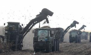 US Sets 2027 Sugar Import Quotas Under WTO Commitments