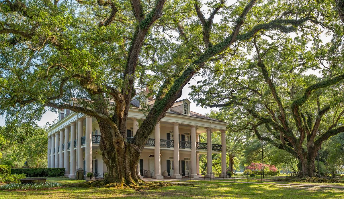 Majestic southern live oak trees with limbs reaching and sprawling in every direction surround the square-shaped, two-story Greek Revival-style mansion. As the main architectural feature, two-story Tuscan columns are featured on all four sides; 28 of them correspond to the 28 live oak trees lining the alley. The exterior walls are pale pink stucco over bricks to convey the look of marble, and the roof of the mansion is hipped. (Oak Alley Foundation)