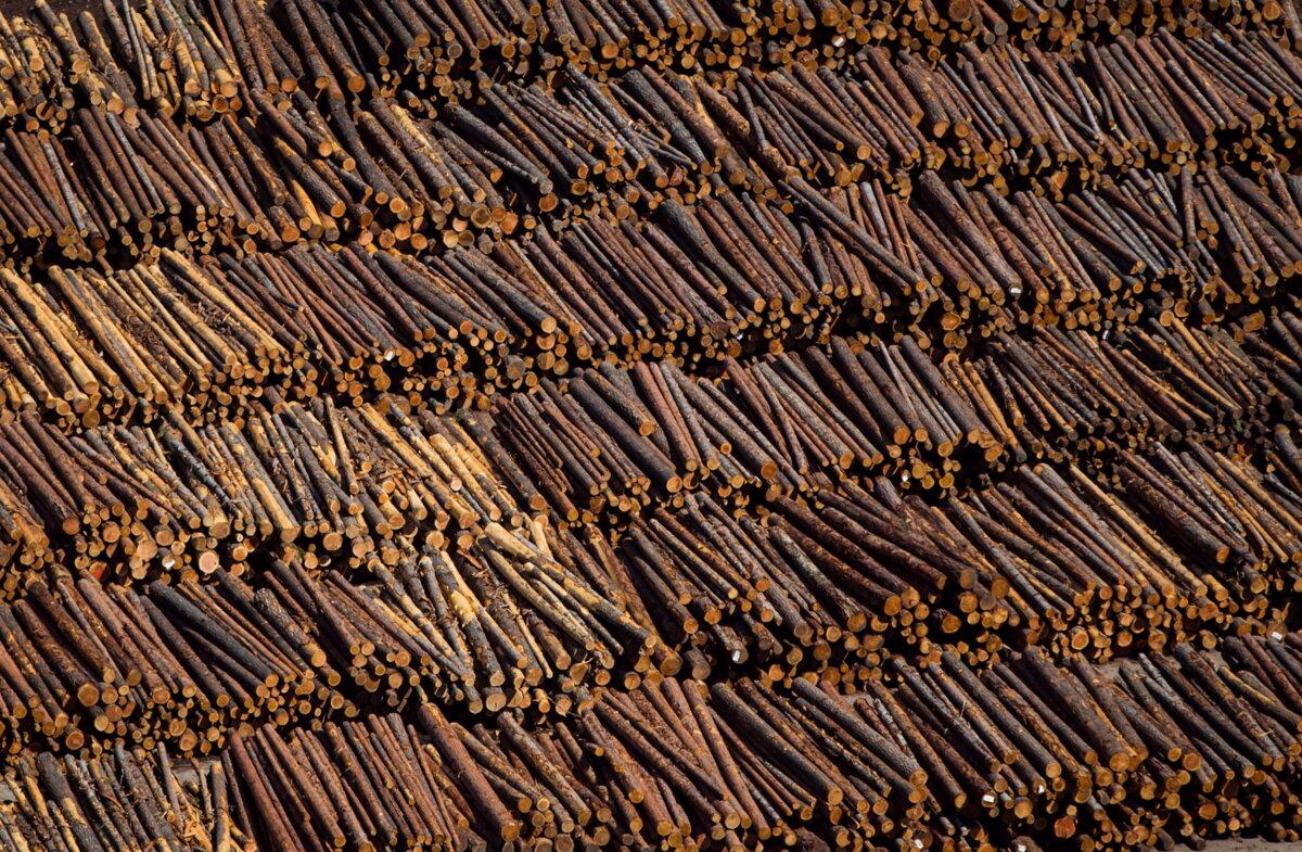Logs are seen in an aerial view stacked at the a sawmill in southern B.C. in a file photo. (The Canadian Press/Darryl Dyck)