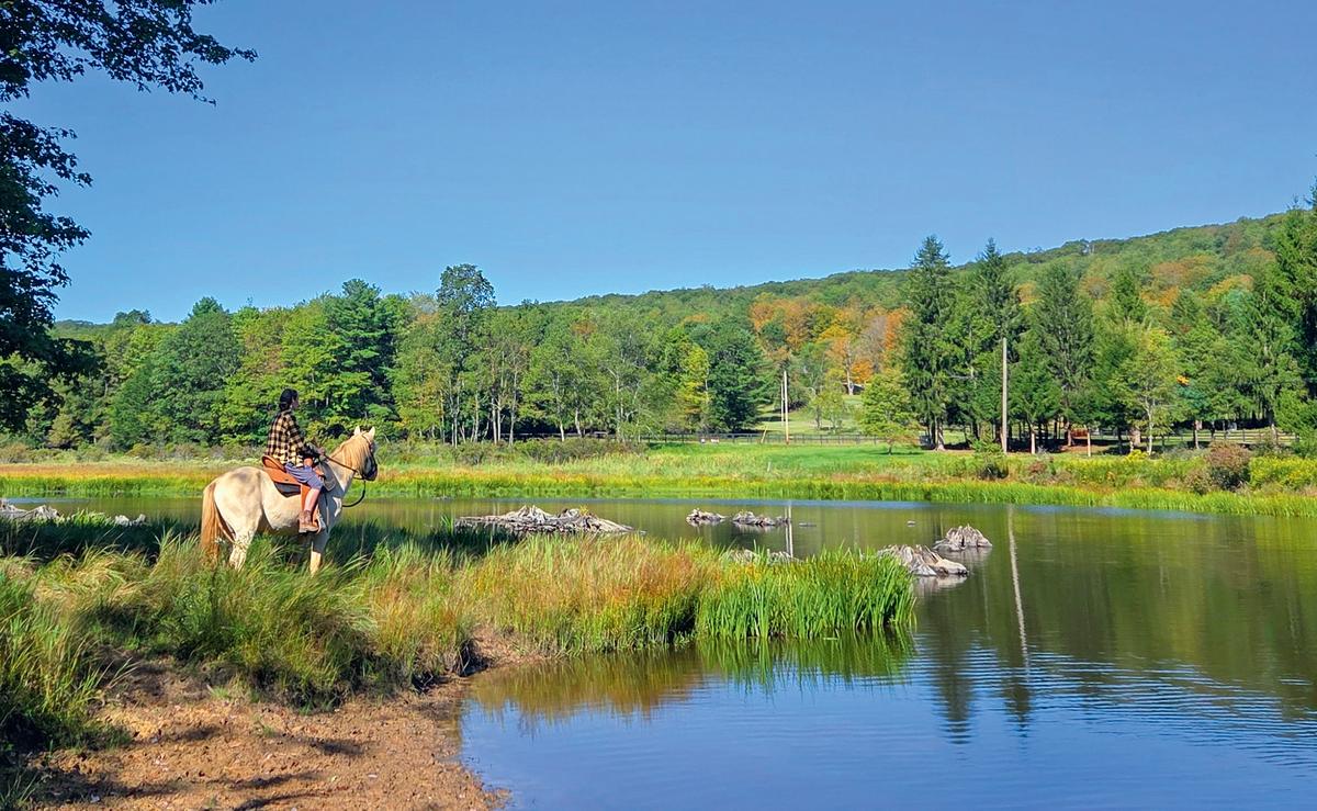 A Camp Hopes to Give Troubled Teens the Chance to Heal Inner Wounds out in Nature