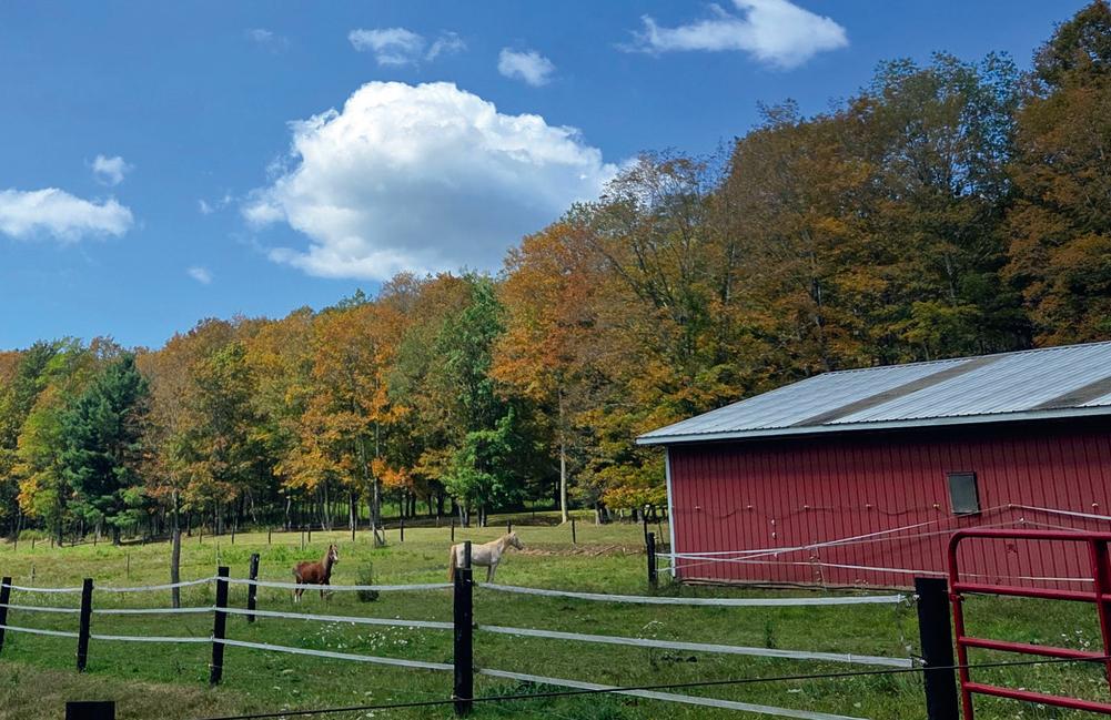 The site is a former children’s home outfitted with horse barns and a riding arena. (Courtesy of Refuge Mountain Ranch)