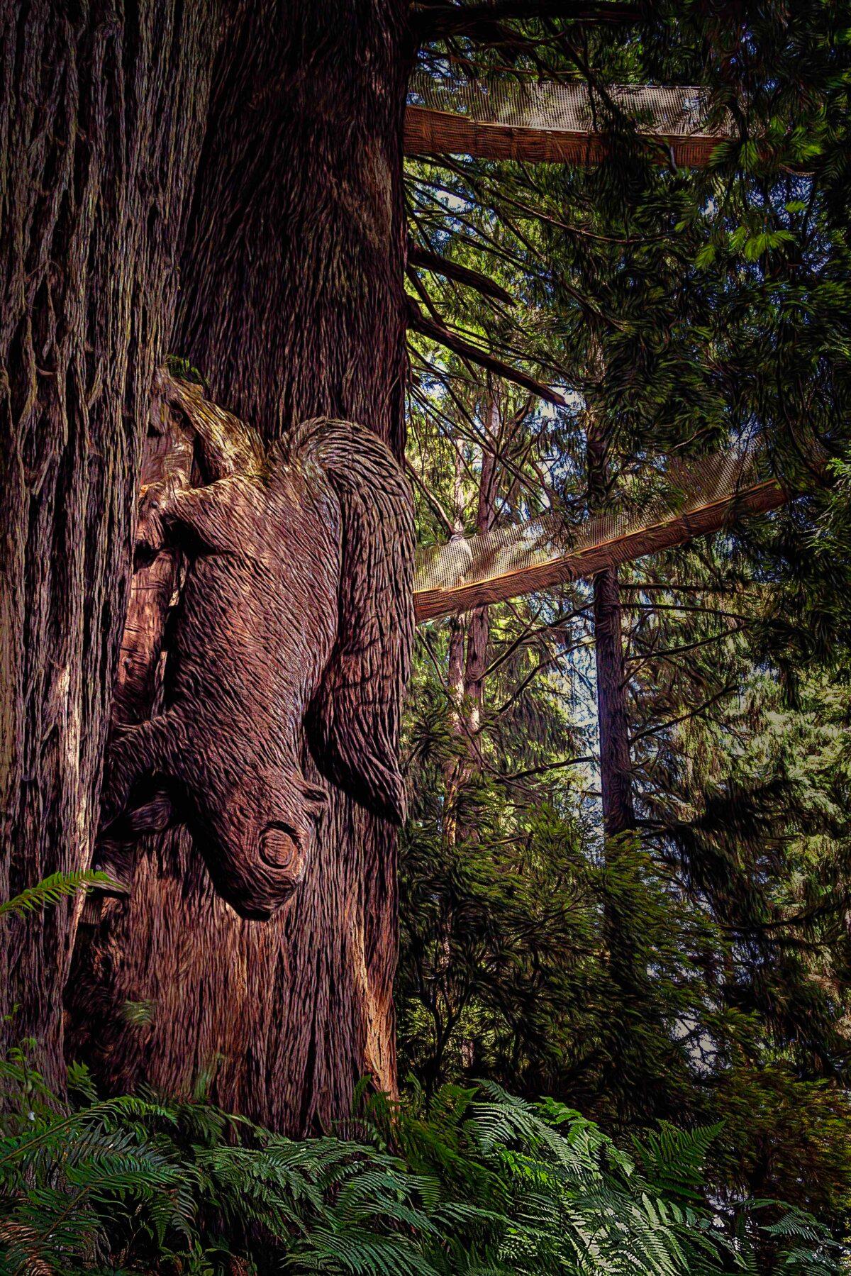 A squirrel sculpture carved onto a redwood tree in the Trees of Mystery trails, California. The popular site features suspension bridges that run across the tree canopies. (Maria Coulson)