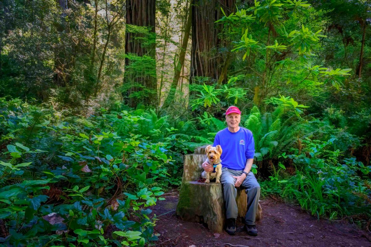 The author and his Yorkie pup, Tahoe, sit on a stump seat at Lady Bird Johnson Grove in Redwood National Park. (Maria Coulson)