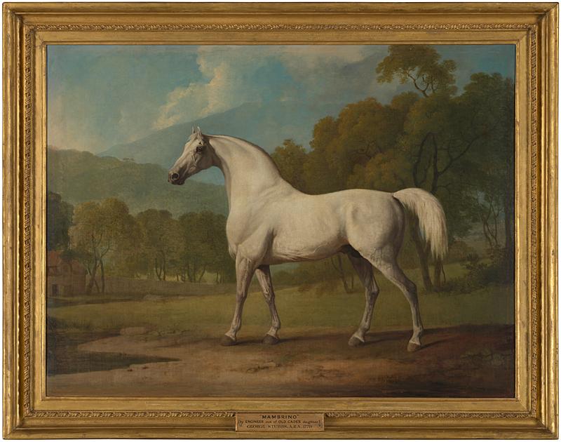 “Mambrino,” 1779, by George Stubbs. Oil on canvas;34 1/2 inches by 46 inches. Private Collection. (The National Gallery, London/Copyright Private collection)