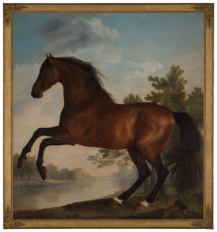 “Scrub, a Bay Horse Belonging to the Marquess of Rockingham,” circa 1762, by George Stubbs. Oil on canvas; 105 1/2 inches by 96 1/4 inches. Private Collection. (The National Gallery, London/Copyright Private collection)