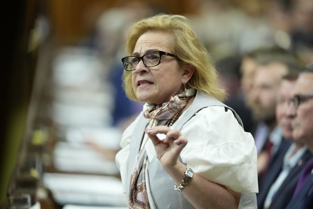 Liberal Government Grows Express Entry Immigration for Military Recruits, Researchers