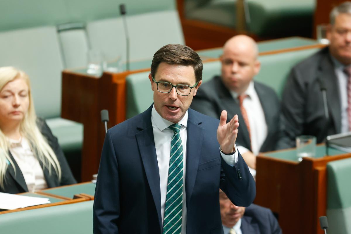 The Leader of the Nationals David Littleproud addresses the House of Representatives at Parliament House in Canberra, Australia, on Feb. 4, 2026. (Hilary Wardhaugh/Getty Images)
