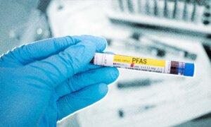 Lesser-Known ‘Forever Chemicals’ Linked to Faster Biological Aging