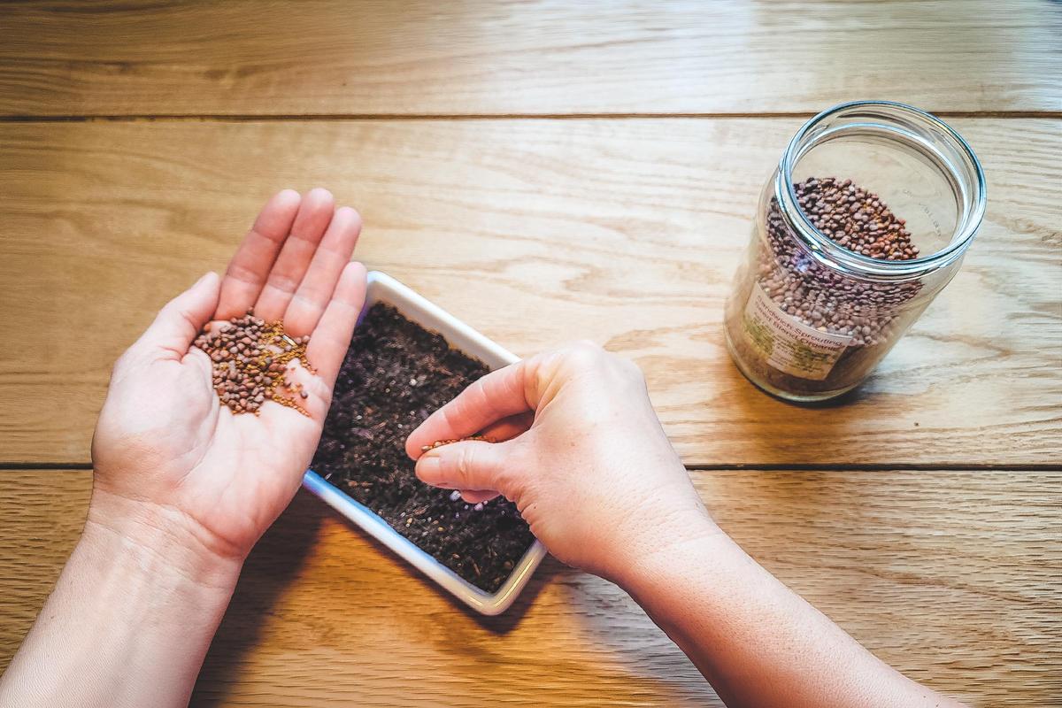 Courtesy of Alexandra Roach