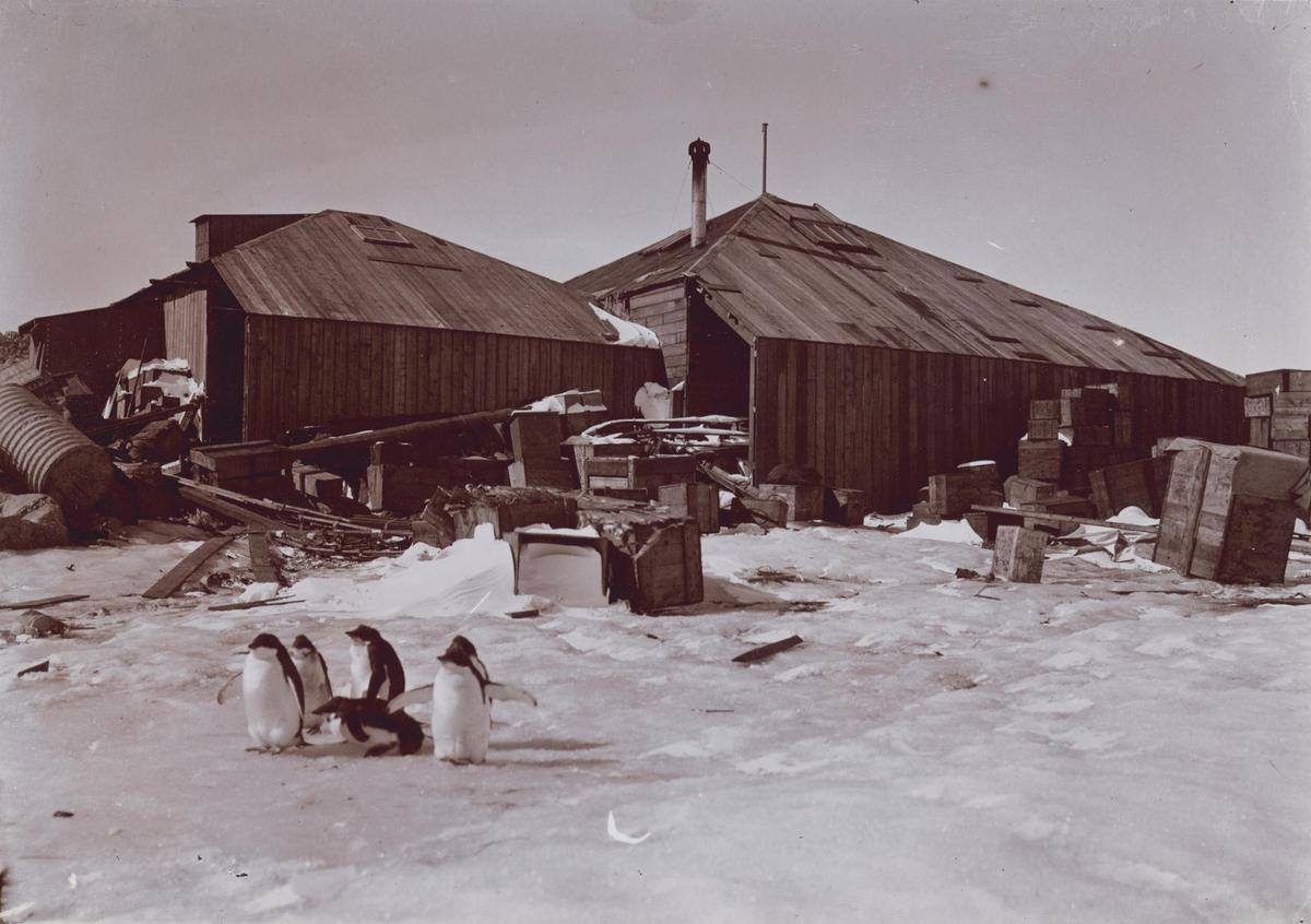 The original Mawson main base, established during Mawson's Australasian Antarctic Expedition (1911-1914), circa 1911. (Public domain)