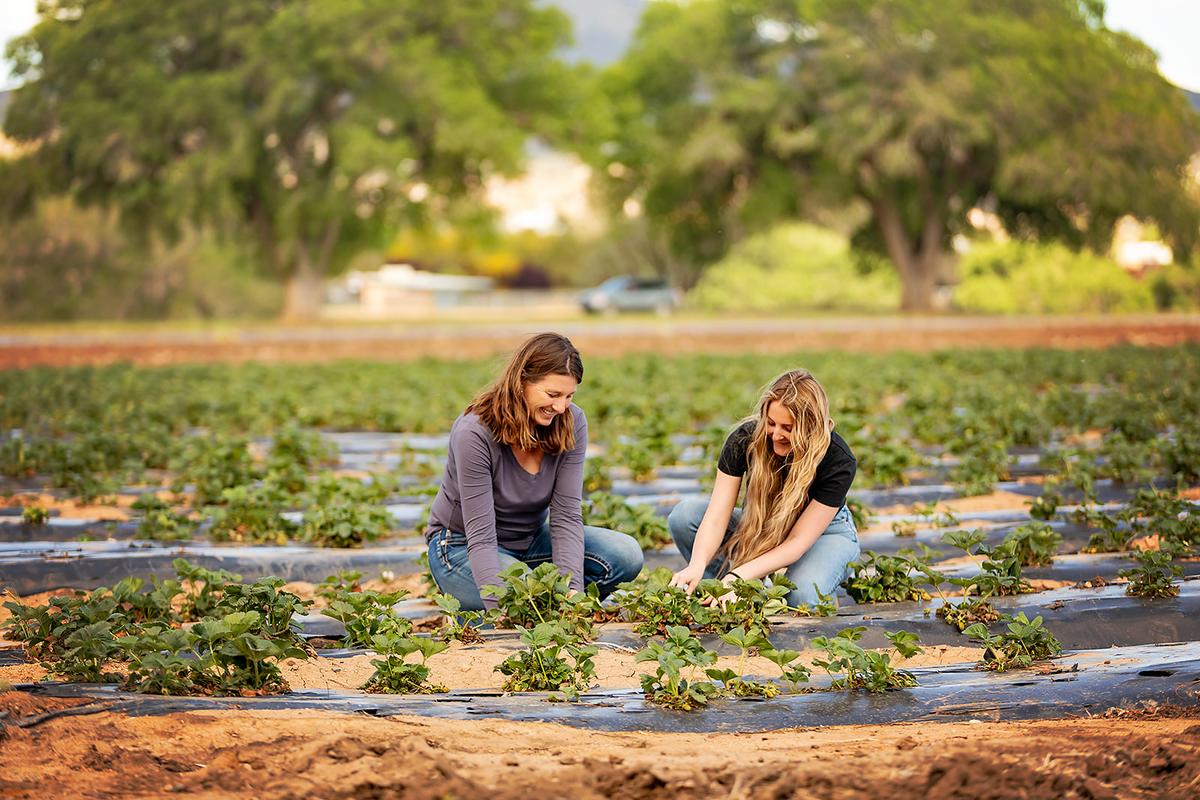 Eat Real Food, Arizona
