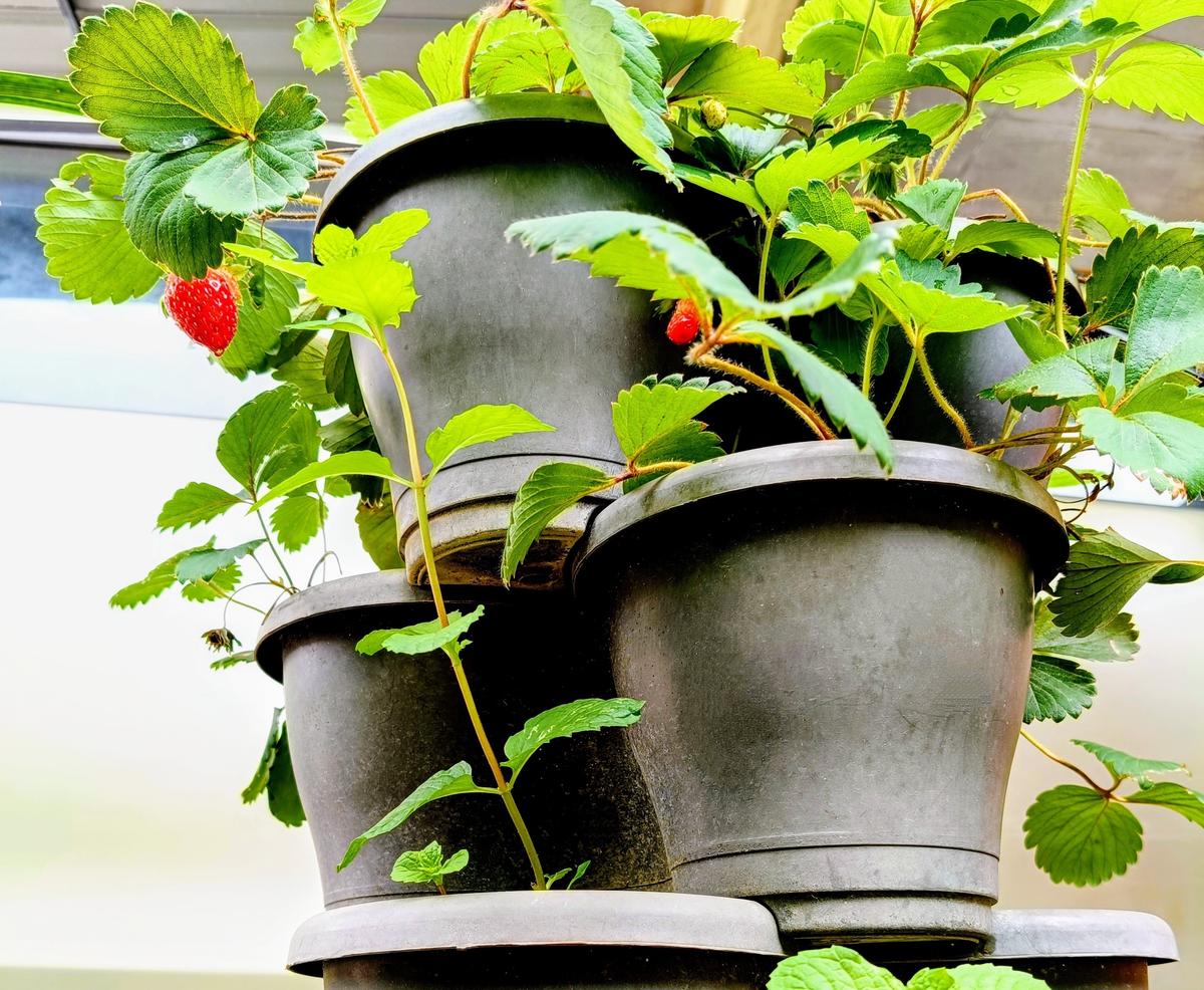 Stackable Pots