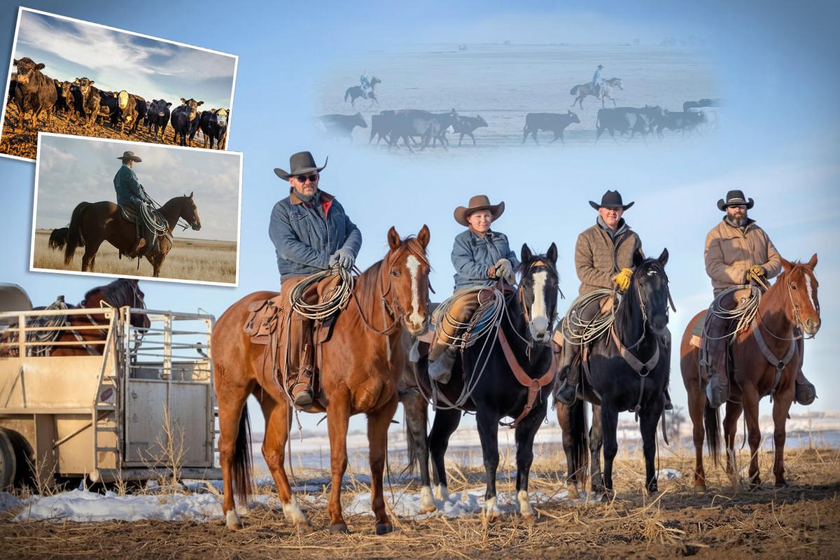 Family Keeps Cowboy Tradition Alive on 120-Year-Old Colorado Ranch While Producing Beef ‘Clean as Can Be’ for Home Delivery