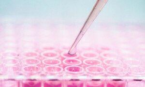 Can Your Cells Heal You? The Promises and Limits of Stem Cell Therapy