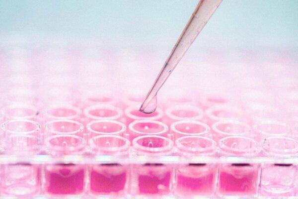 Can Your Cells Heal You? The Promises and Limits of Stem Cell Therapy