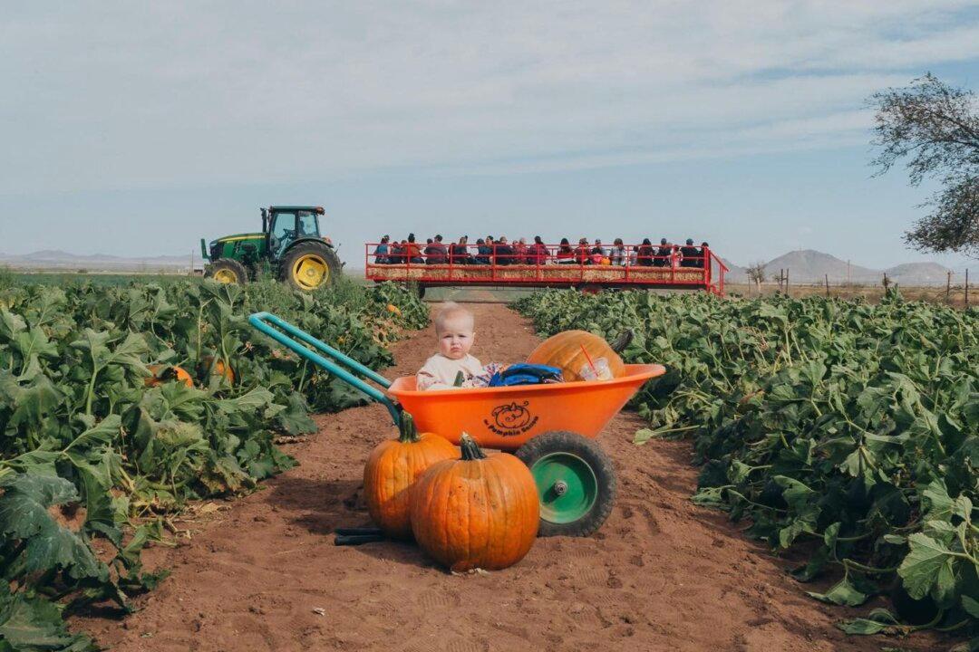 Family Farm Fun in Northern and Southern Arizona