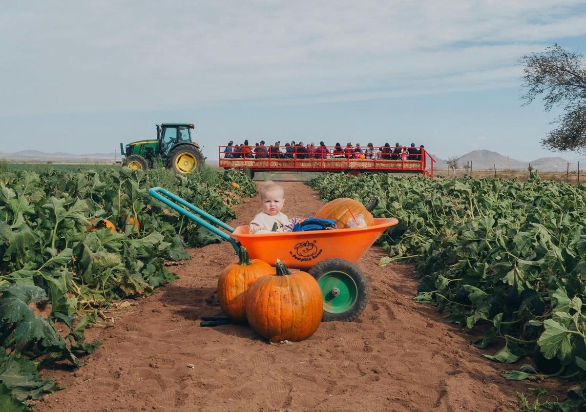 Family Farm Fun in Northern and Southern Arizona