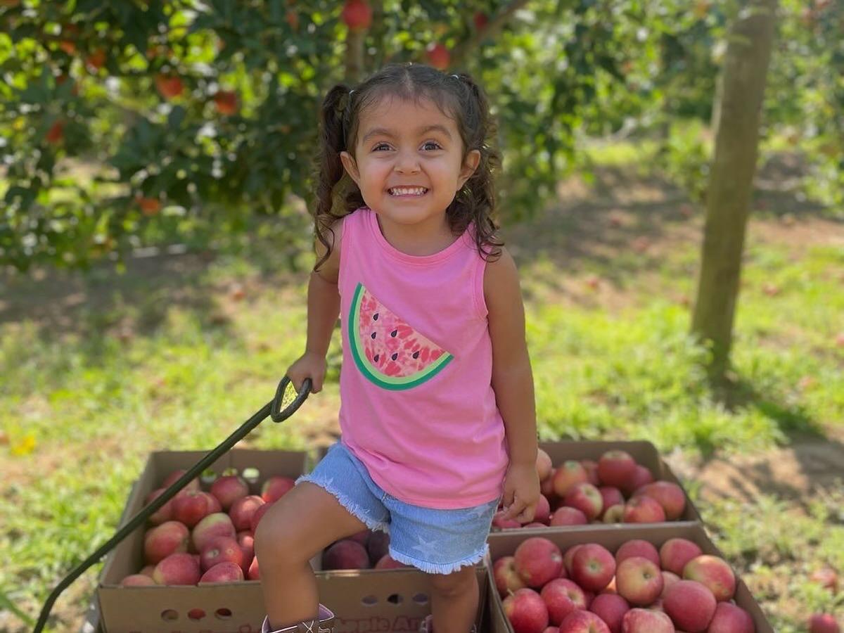 Hands-on farm activities help children understand the daily routines behind food production, from animal care to crop harvesting. (Apple Annie's Orchard)