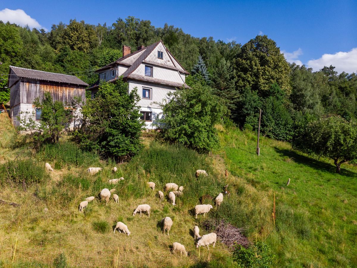 Food Culture and Red Tape: A Tale of 2 Agricultural Systems