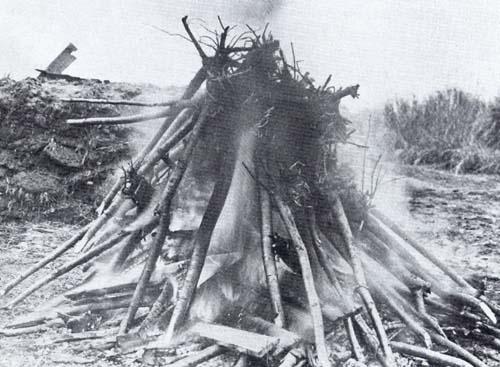 The first gift of 2,000 cherry trees was burned by the giftee after a few insects and nematodes were discovered. U.S. National Arboretum. (Public Domain)