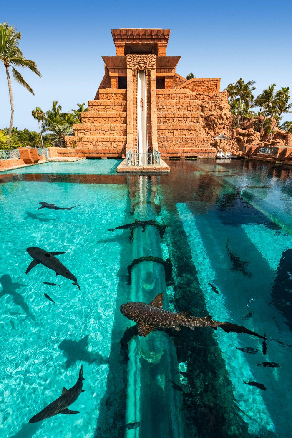 At Leap of Faith at the Atlantis resort on Paradise Island, Bahamas, visitors speed down a 60-foot slide submerged in a marine lagoon. (Atlantis Paradise Island)