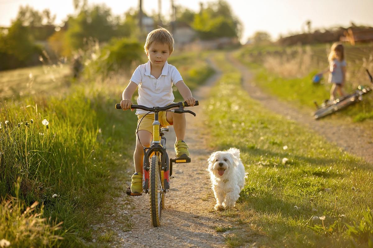 Spending time outdoors with animals can increase a child's sense of connection to nature. (Tomsickova Tatyana/Shutterstock)