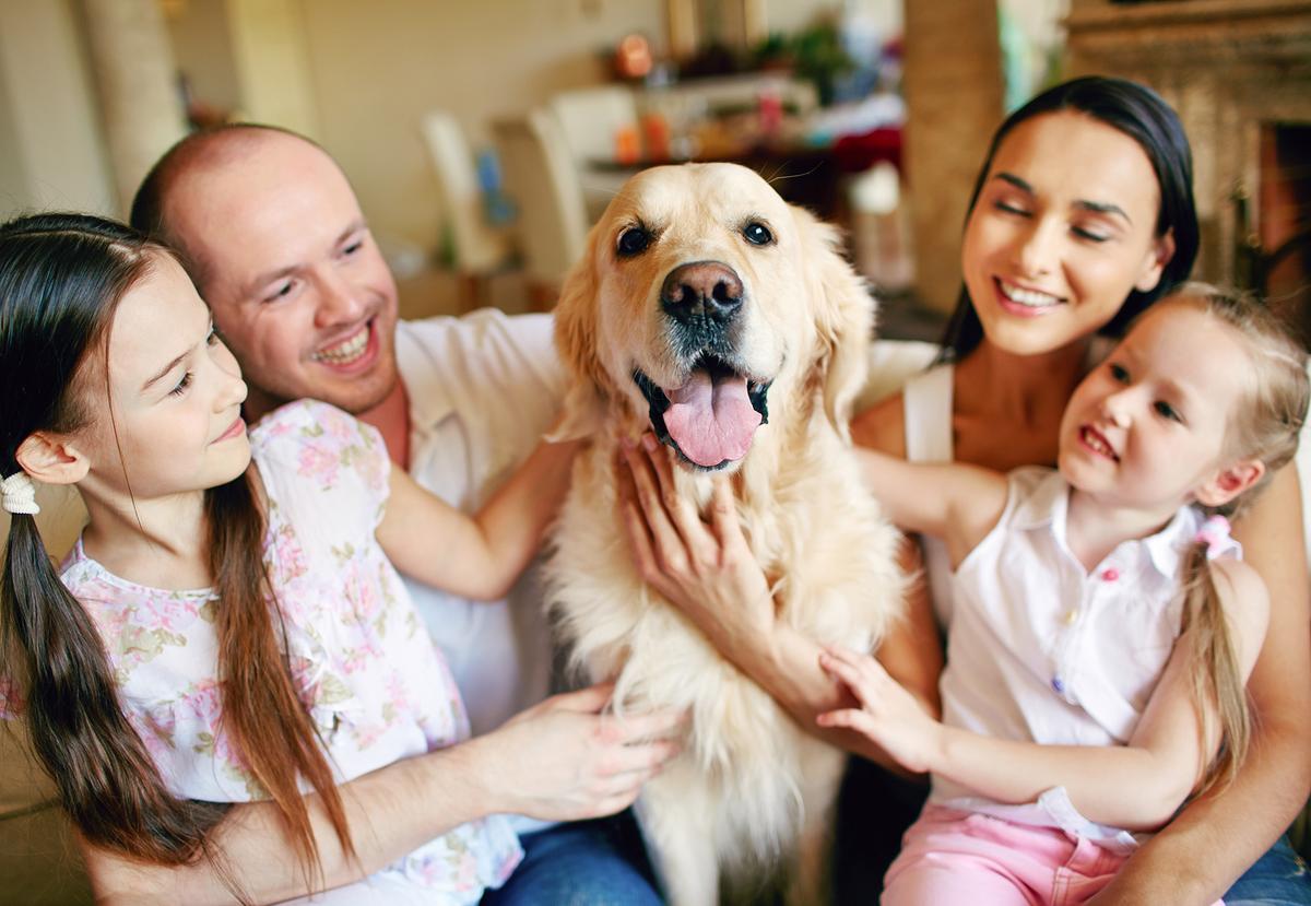 For many children, early relationships with pets provide one of their first opportunities to experience attachment, care, and emotional bonding alongside their parents and siblings. (Pressmaster/Getty Images)