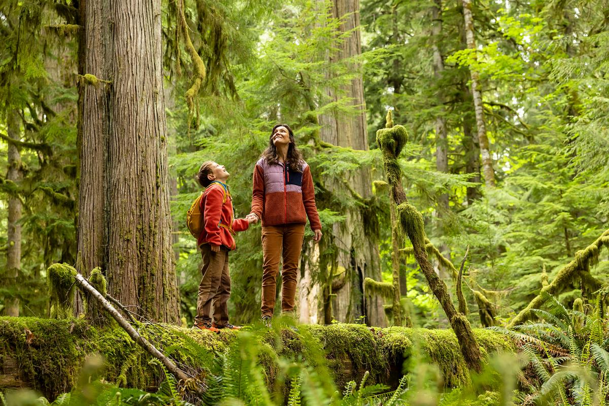 What Small Children Teach Parents