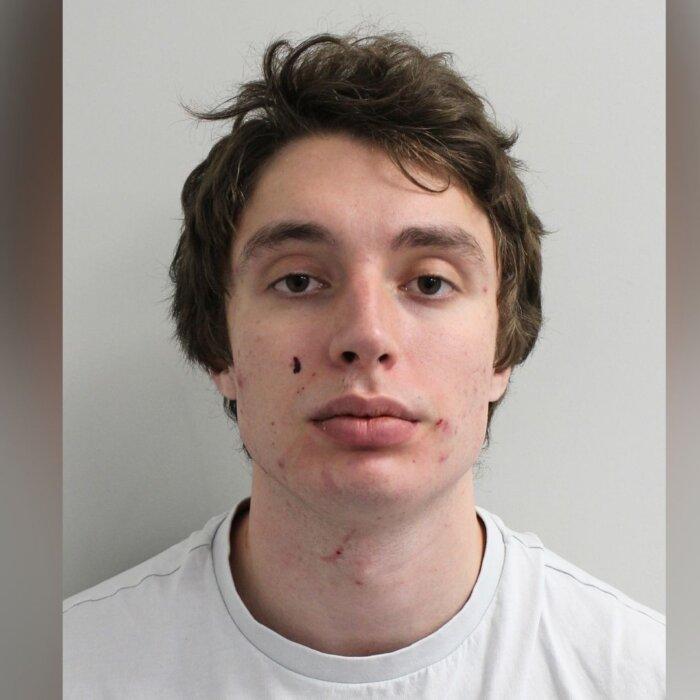 Russian Man Sentenced to 4 Years in UK Prison for Assault Witnessed on Video by Barron Trump