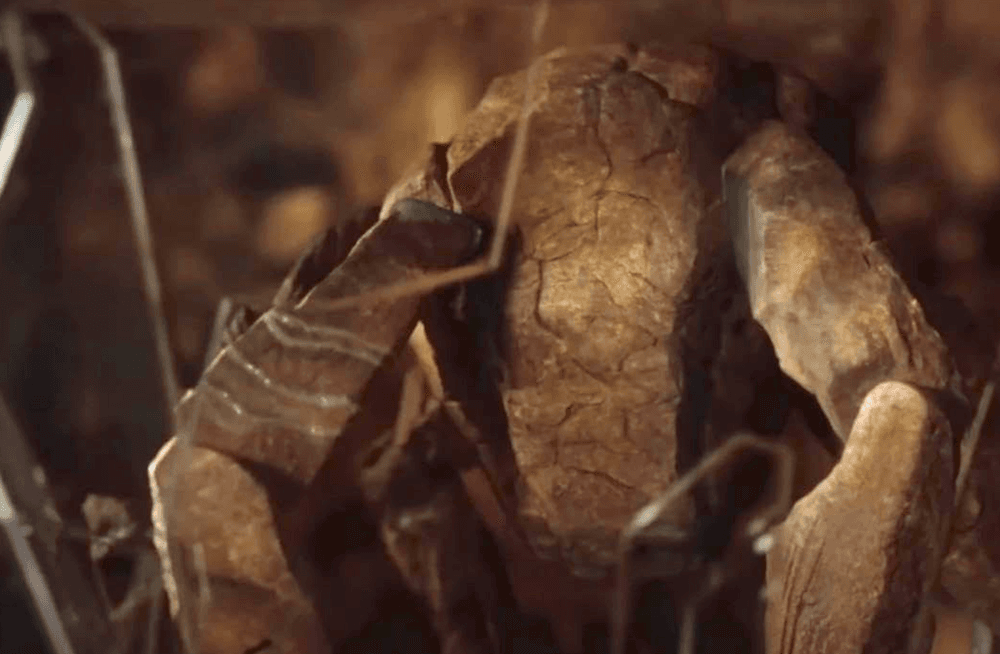 Rocky the 3-legged spider made of rocks (voiced by James Ortiz) is on a mission to save the cosmos, same as grade school teacher Ryland Grace (Ryan Gosling), in "Project Hail Mary." (Sony Pictures Releasing)