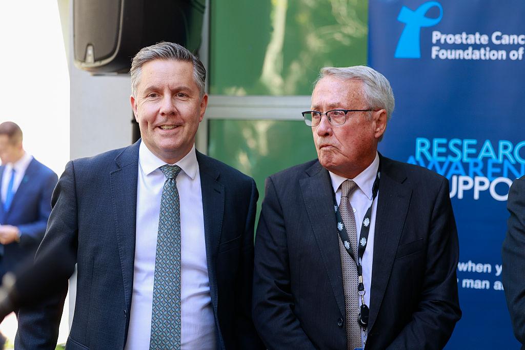 Mark Butler (L), minister for Health and Aged Care, for Disability and NDIS and Deputy Leader of the House; and former treasurer and Deputy Prime Minister Wayne Swan attend the Prostrate Cancer Foundation of Australia BBQ at Parliament House in Canberra, Australia on Nov. 5, 2025. (Hilary Wardhaugh/Getty Images)