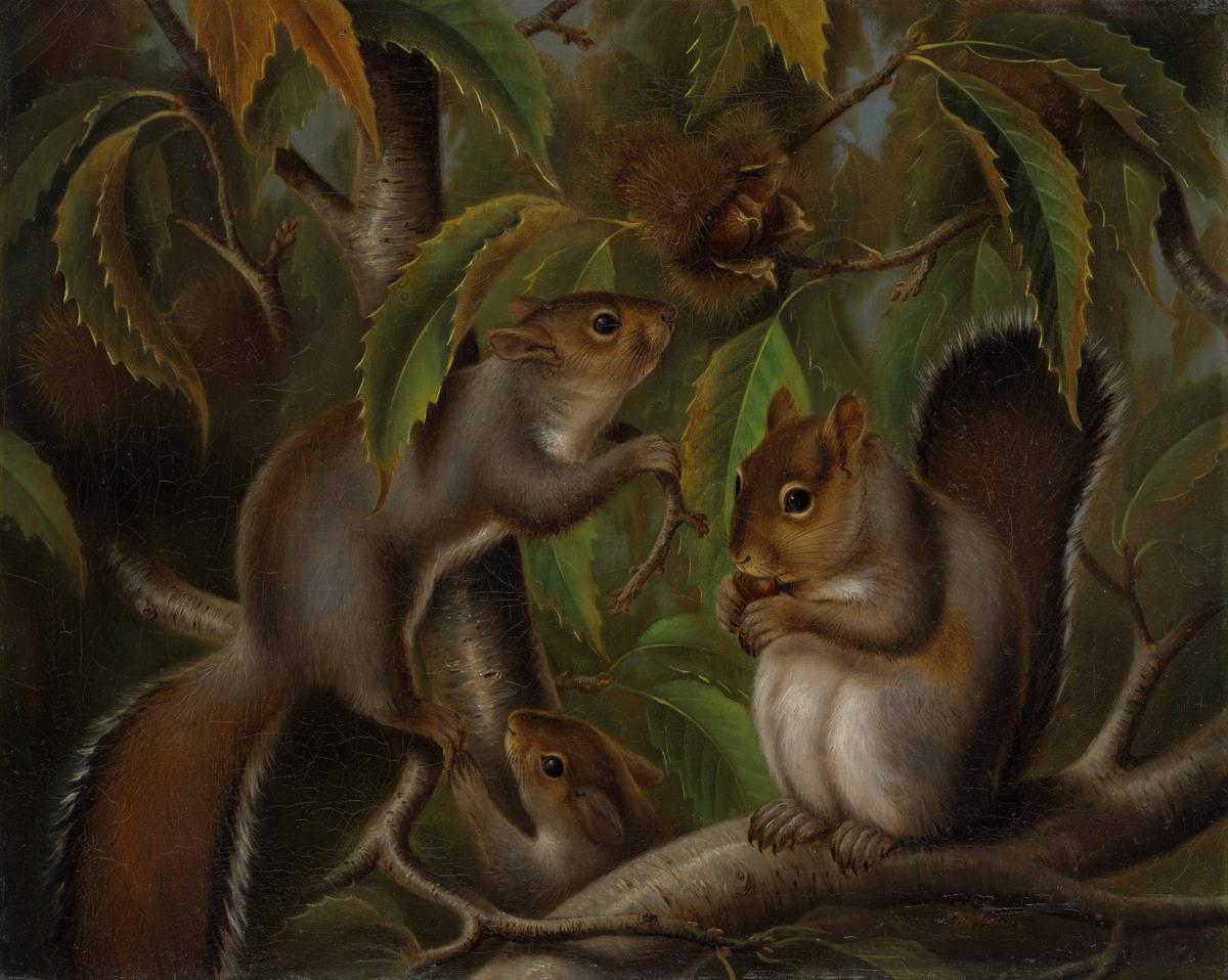 Untitled painting of squirrels in a chestnut tree, circa 1875–1880, by Susan Catherine Moore Waters. Oil on canvas; 16 inches by 20 inches. Metropolitan Museum of Art, New York City. (Public Domain)