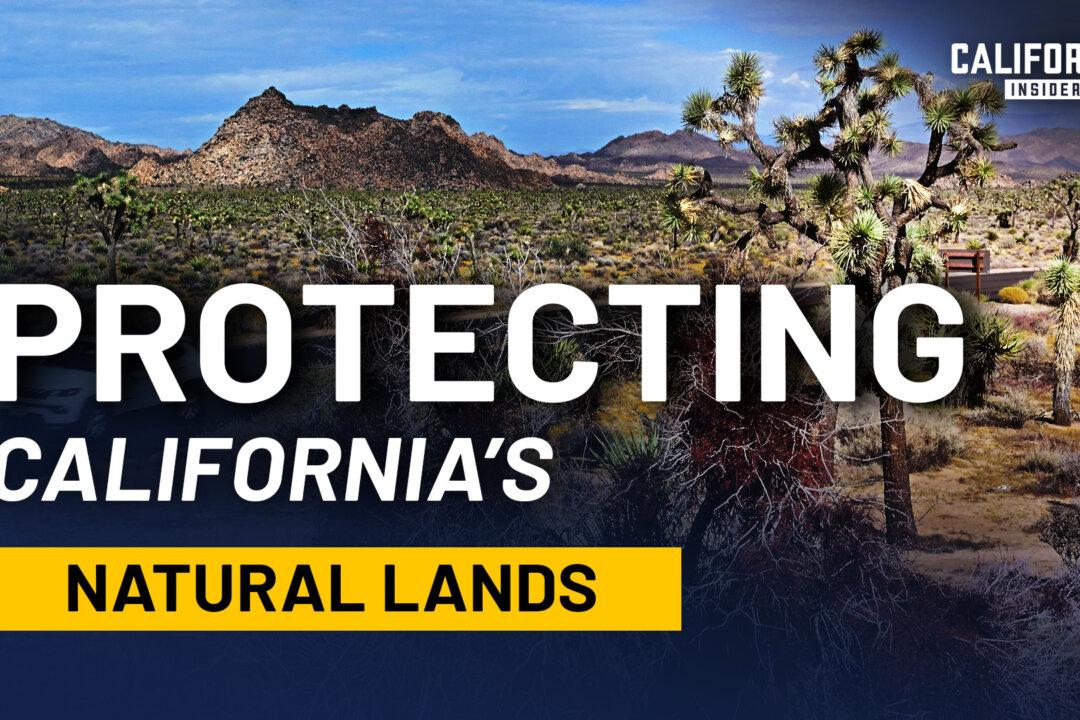 California’s Land, Water, and Fire: What’s Really Driving the Decisions